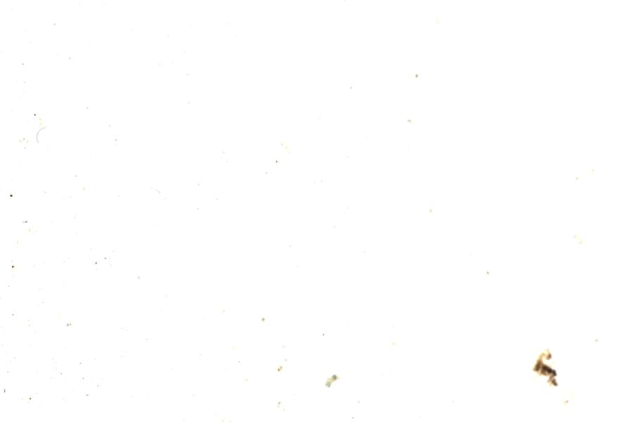 Image 63